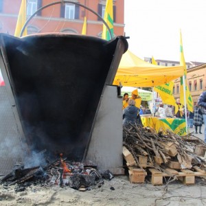 In piazza il popolo del Parmigiano Reggiano: la contraffazione ci uccide