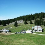 Expo 2015, l’Asiago Dop testimonial della biodiversità e dell’ambiente