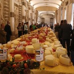 Le Medaglie d'Oro di Caseus Veneti 2015
