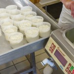 Cheesemaster, il caseificio più piccolo al mondo