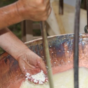 La conoscenza, il sapere, per migliorare perché il formaggio non è mai perfetto