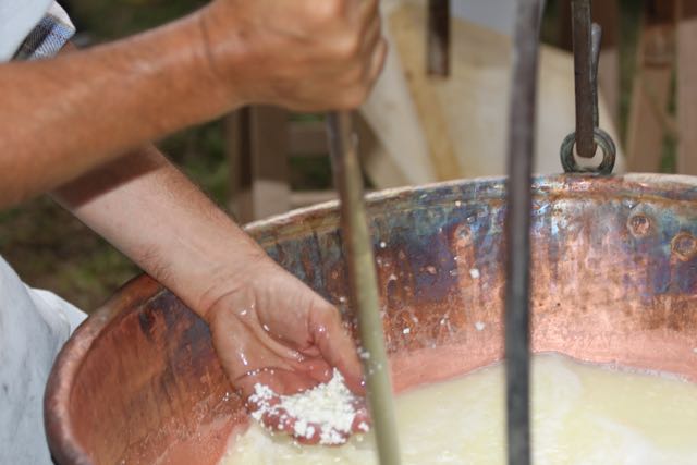 La conoscenza, il sapere, per migliorare perché il formaggio non è mai perfetto