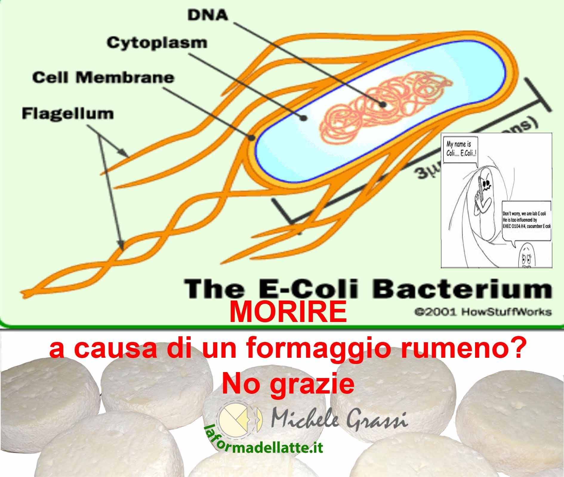 Morire per un formaggio rumeno? No grazie