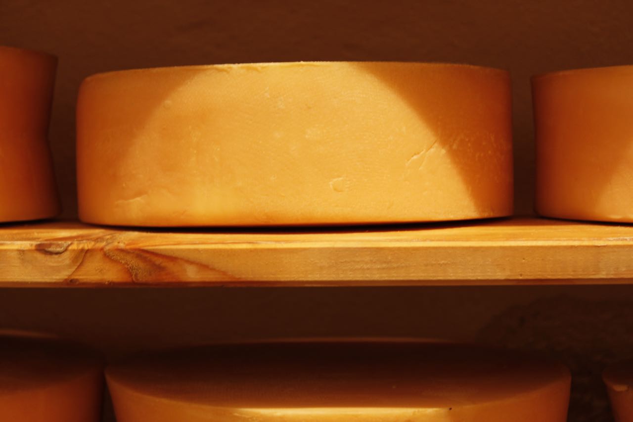 Il giusto tempo di maturazione del formaggio