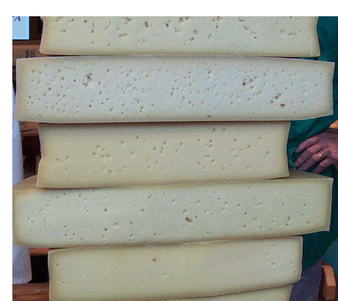 L’altra faccia del formaggio, dove non ci sta scritto il nome