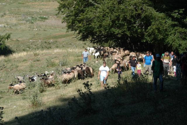 Picinisco in Festival: Formaggio.it è media partner dell’evento
