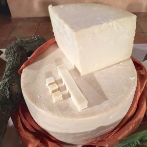 Caprini sardi, poco conosciuti ma di grande qualità