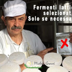 ALLARME QUALITA' DEL FORMAGGIO; l'abuso di fermenti lattici selezionati