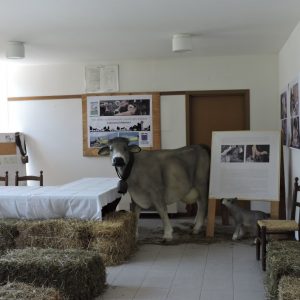 Valsassina: la Valle dei Formaggi