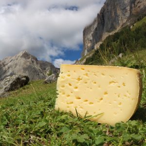 Malga bellunese e Agordino di malga, sono formaggi rari?