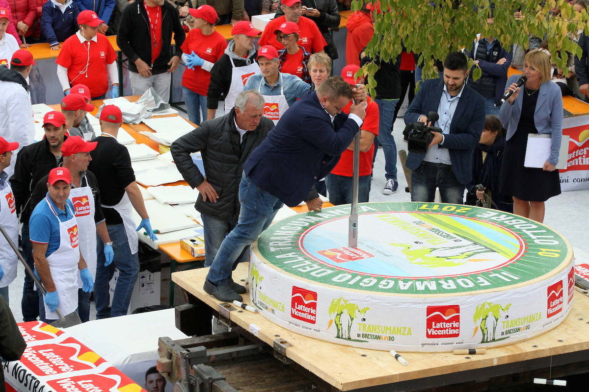 Una Forma Gigante, il Formaggio della Transumanza