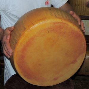 Quando il Parmigiano si chiamava Vernengo