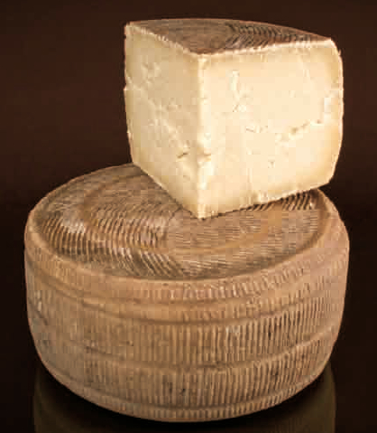 Rivive il Canestrato Pugliese Dop