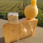 Le forme del formaggio