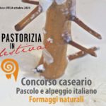 Concorso caseario 