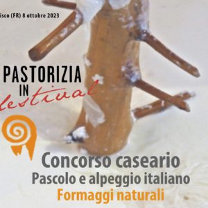 Concorso caseario 